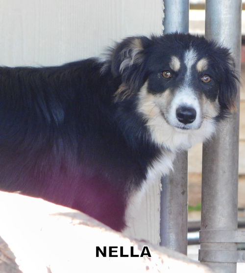 Nella