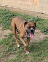 Buster Brown (Ritzy)