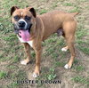 Buster Brown (Ritzy)