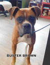 Buster Brown (Ritzy)