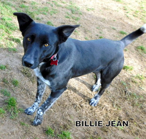 Billie Jean