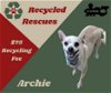 Archie (Recycle)