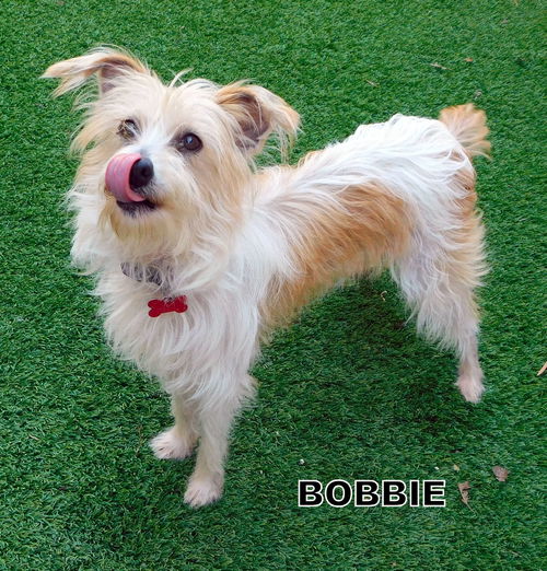 Bobbie Jo