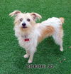 Bobbie Jo