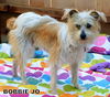 Bobbie Jo