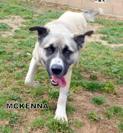 McKenna