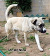 McKenna
