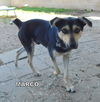 Marco