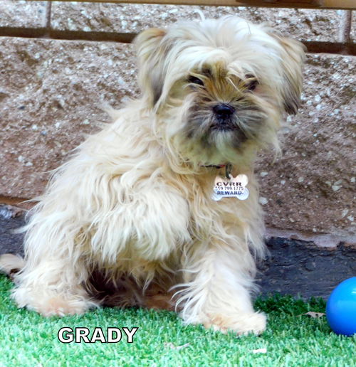 Grady (Ritzy)