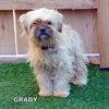 Grady (Ritzy)