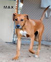 Max