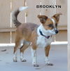Brooklyn