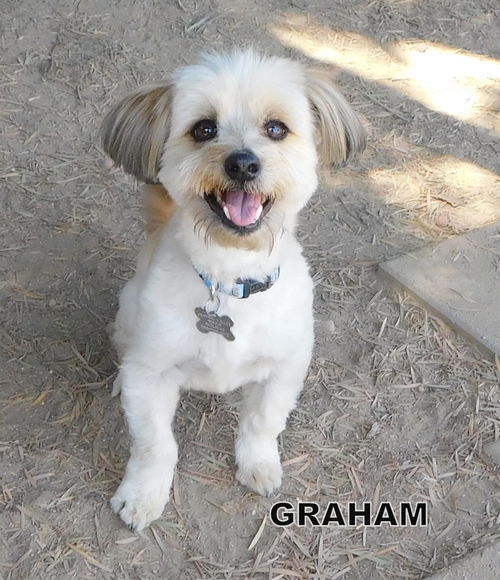 Graham (Ritzy)