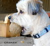 Graham (Ritzy)