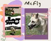 McFly