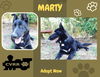 Marty