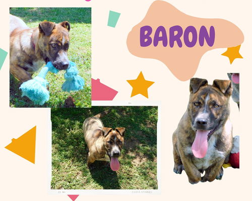 Baron