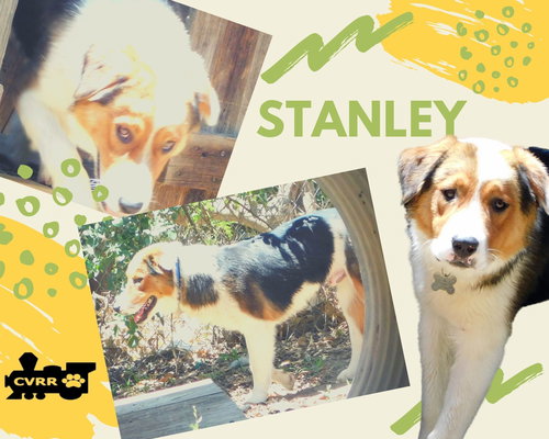 Stanley