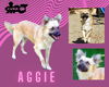 Aggie