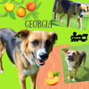 Georgia
