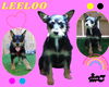 Leeloo