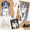 Niles