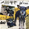 Wren (Puppy)
