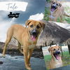 Tule (Puppy)