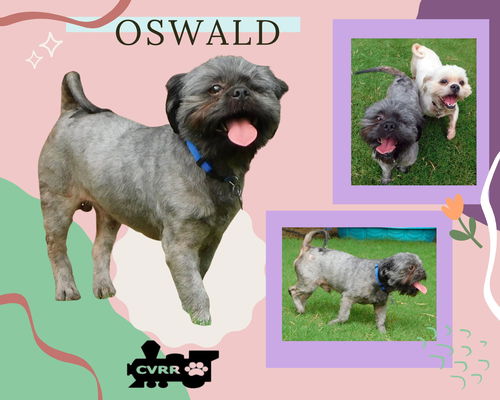 Oswald (Ritzy)