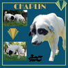 Chaplin