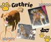 Guthrie