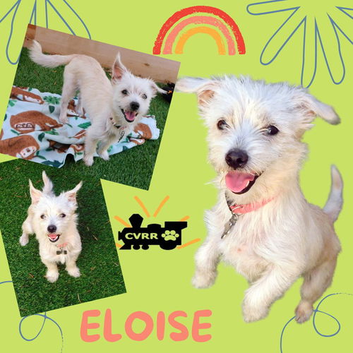 Eloise