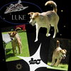 Luke