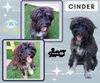 Cinder (Ritzy)