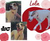 Lola