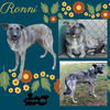 Ronni