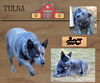 Tulsa (Ritzy)