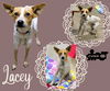 Lacey