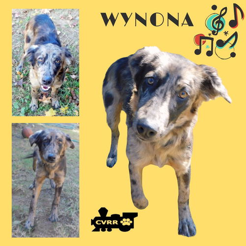 Wynona