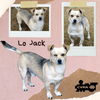 LoJack