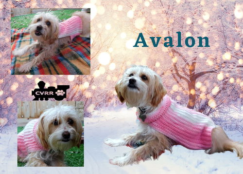 Avalon (Ritzy)