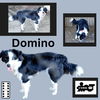 Domino
