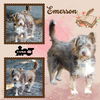 Emerson (Ritzy)
