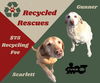 Scarlett (Recycle)