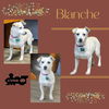 Blanche