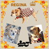 Regina (GrandPaws)