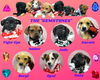 Gemstones (Puppy)