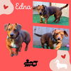 Edna