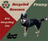 Penny (Recycle)