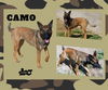 Camo